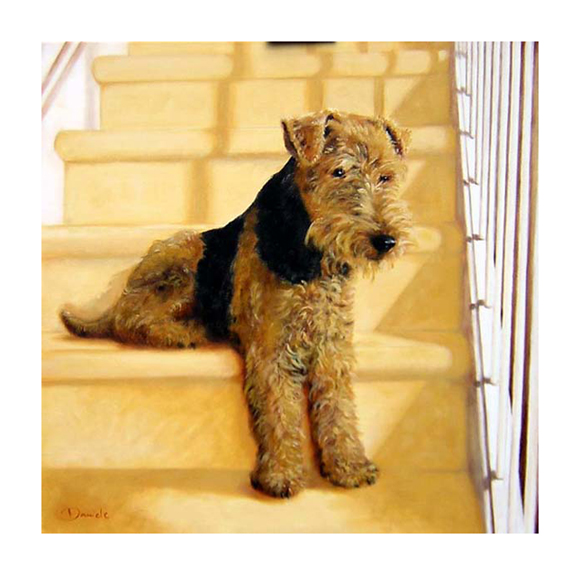 Hund auf einer Treppe