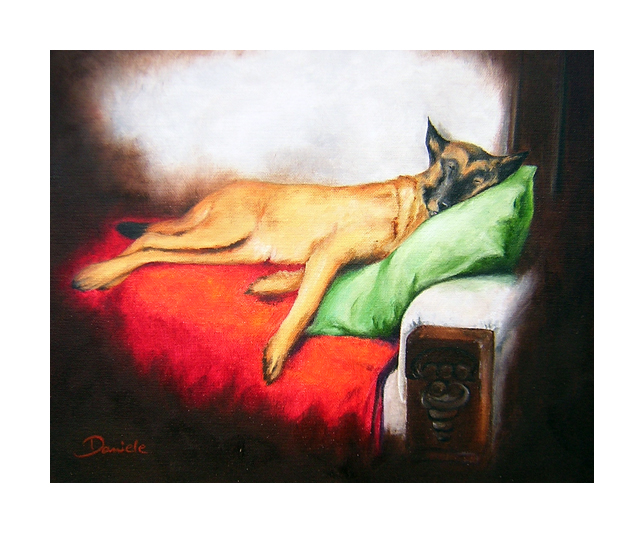 Hund auf Sofa