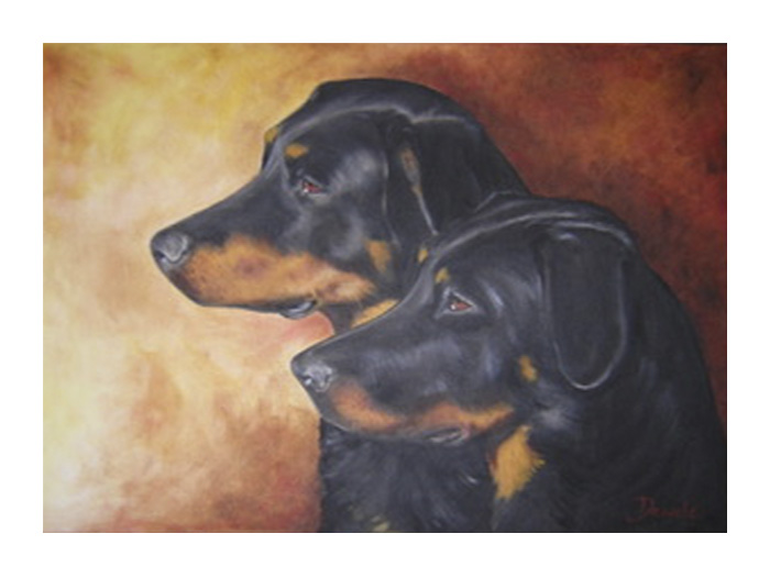 2 Hunde im Profil